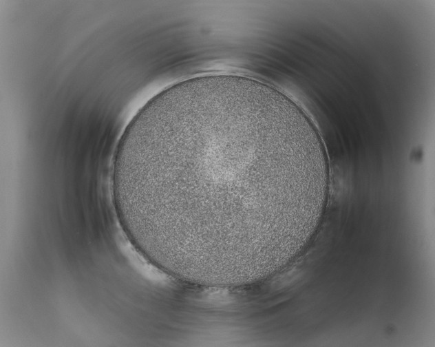 X0000111651098200907311310