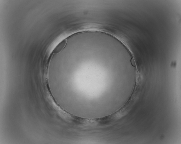X0000111651101200907311310