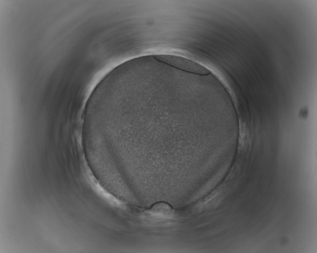 X0000111651102200907311310
