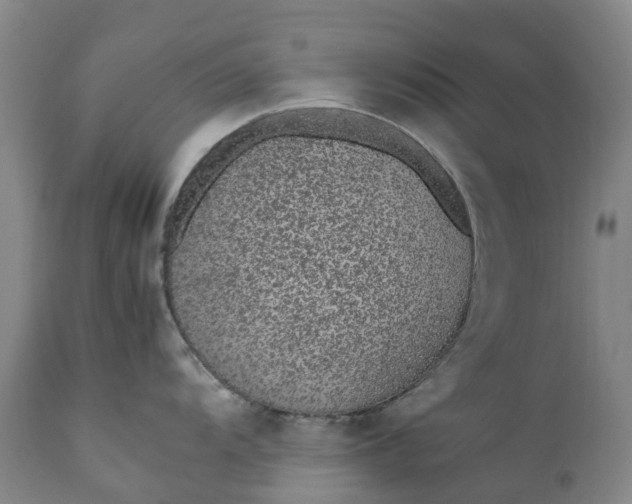 X0000111651104200907311310