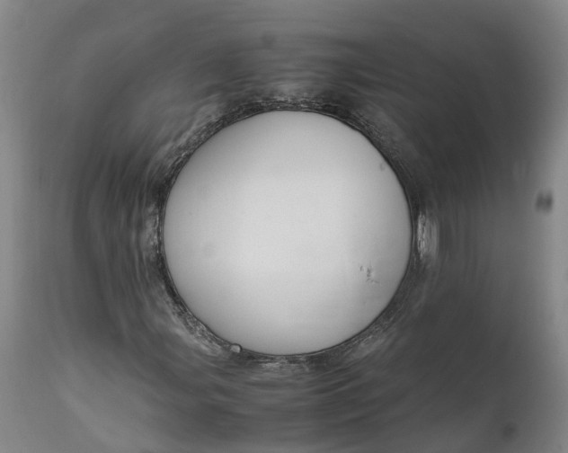 X0000111651107200907311310