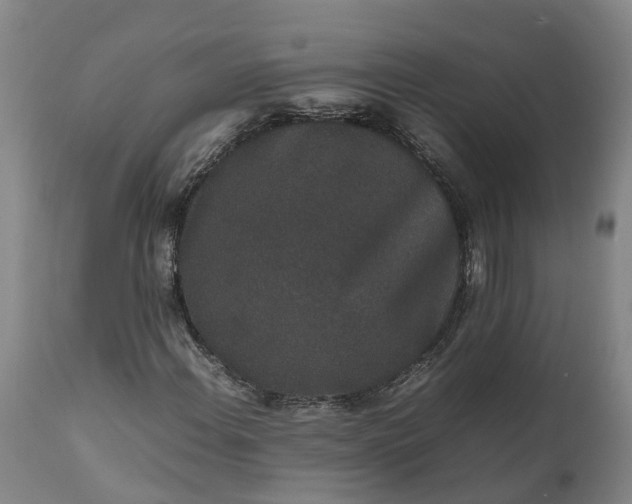 X0000111651108200907311310