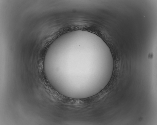 X0000111651109200907311310