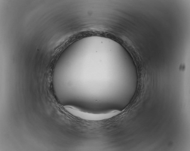 X0000111651110200907311310