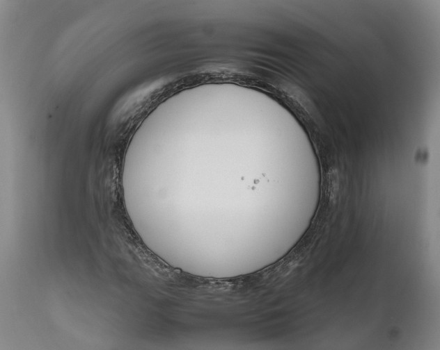 X0000111651111200907311310