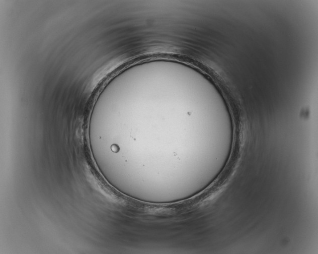 X0000111651113200907311310