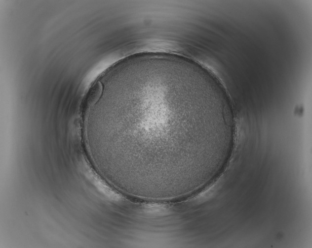 X0000111651114200907311310