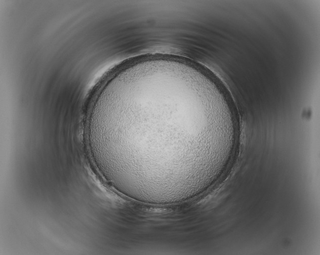 X0000111651115200907311310