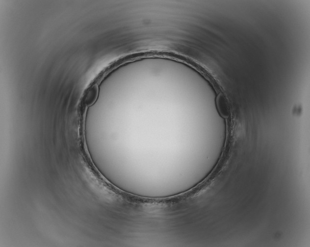 X0000111651118200907311310