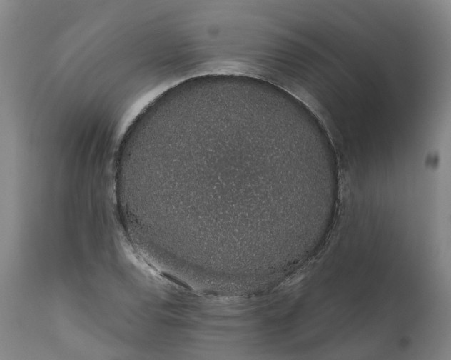 X0000111651120200907311310