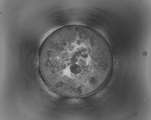 X0000111651125200907311310