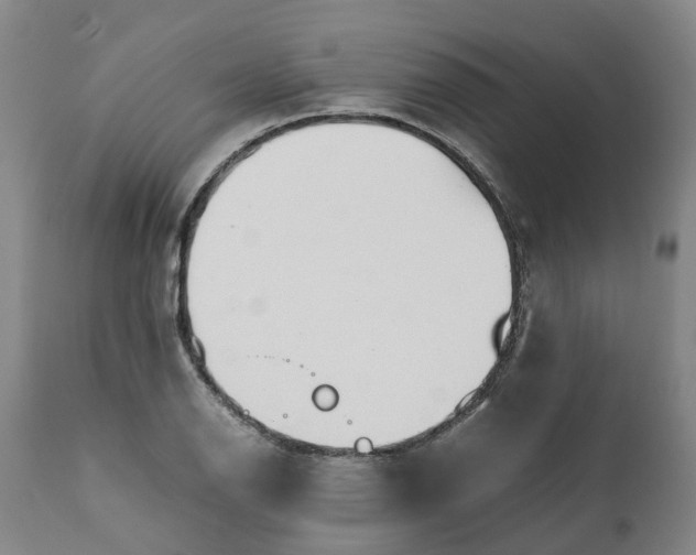 X0000111651126200907311310
