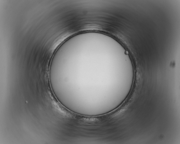 X0000111651129200907311310