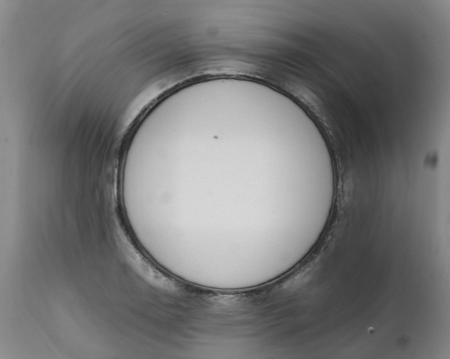 X0000111651130200907311310