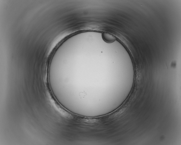X0000111651131200907311310