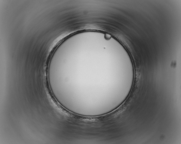X0000111651133200907311310