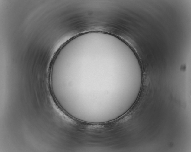 X0000111651135200907311310