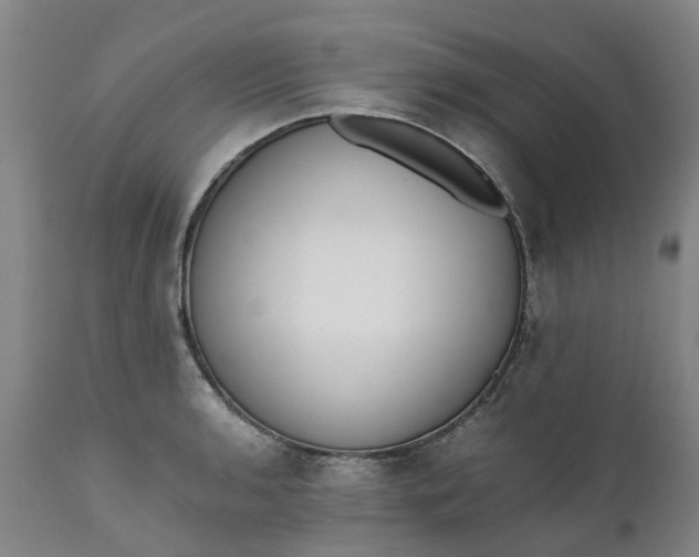 X0000111651136200907311310
