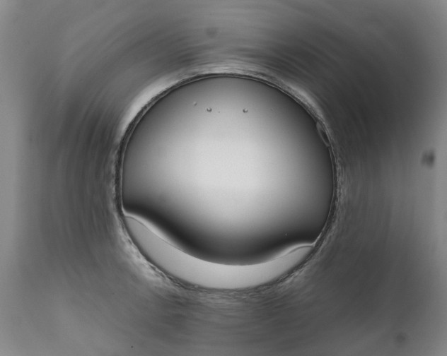 X0000111651138200907311310