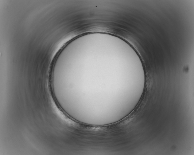 X0000111651139200907311310