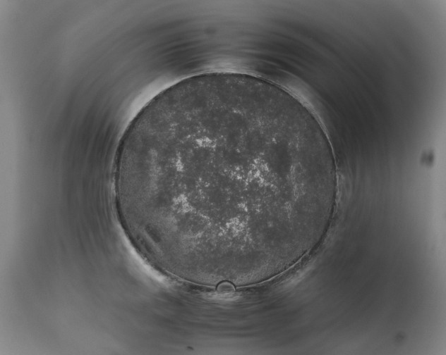 X0000111651141200907311310