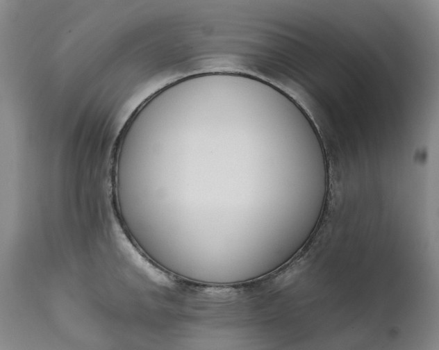 X0000111651142200907311310