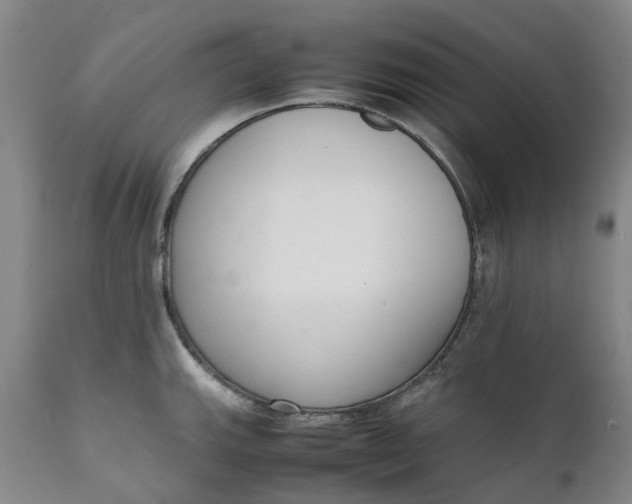 X0000111651143200907311310