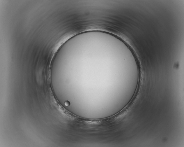 X0000111651145200907311310