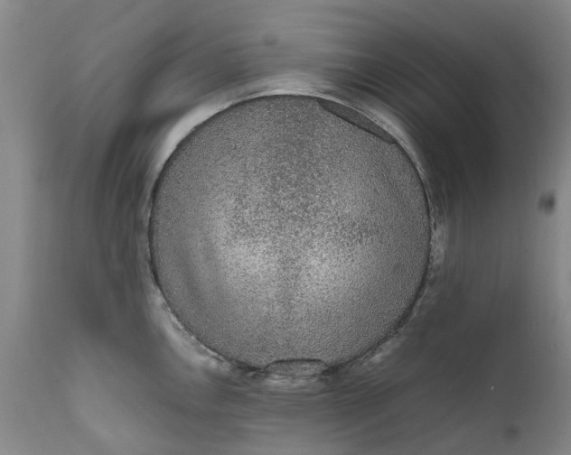 X0000111651146200907311310