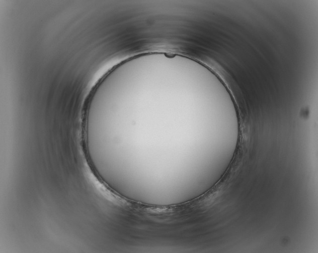X0000111651147200907311310
