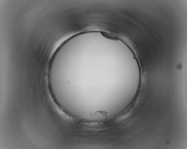 X0000111651149200907311310