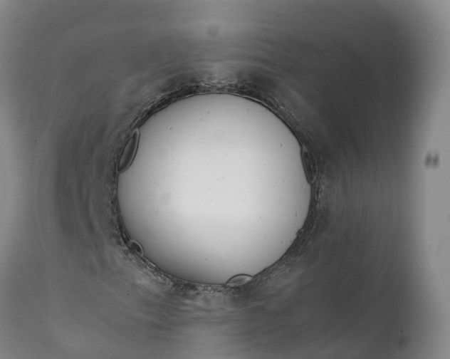 X0000111651153200907311310