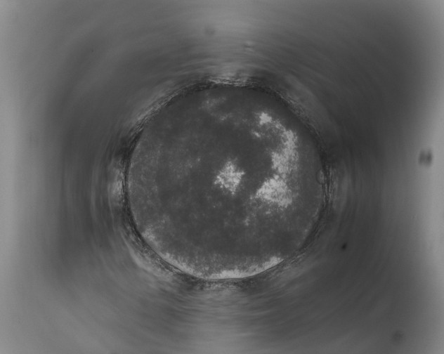 X0000111651154200907311310