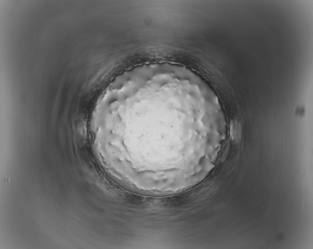 X0000111651155200907311310