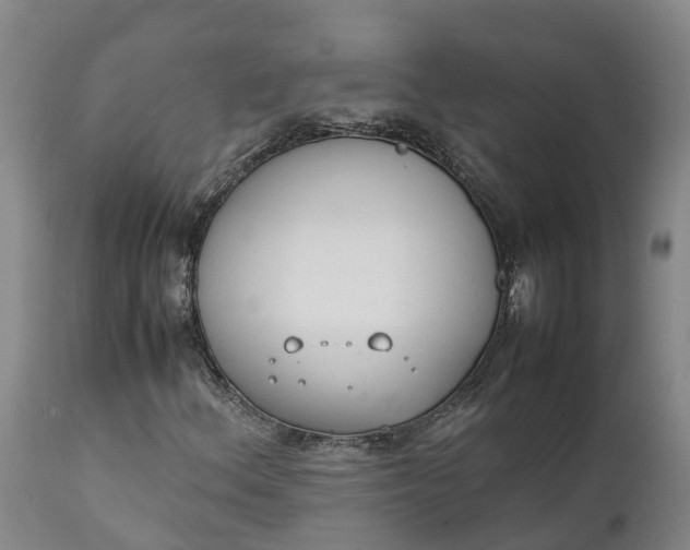 X0000111651156200907311310