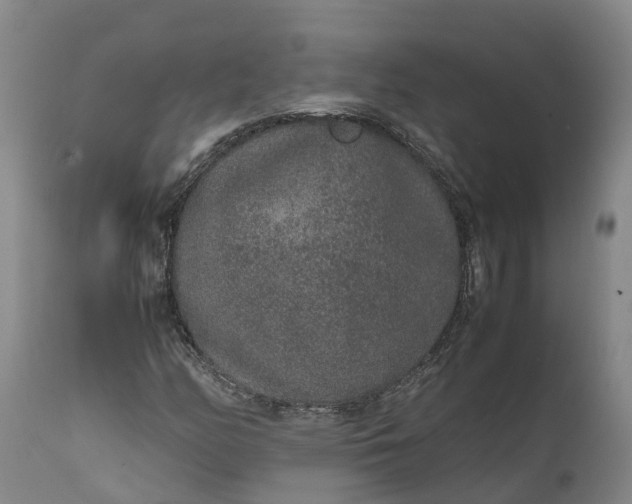 X0000111651158200907311310