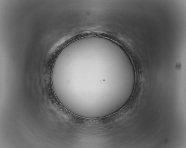 X0000111651159200907311309