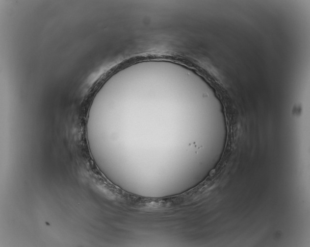 X0000111651160200907311309