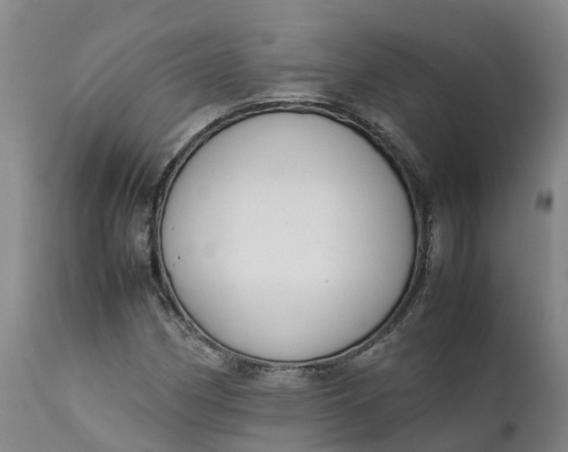 X0000111651162200907311309