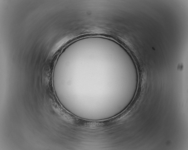 X0000111651163200907311309