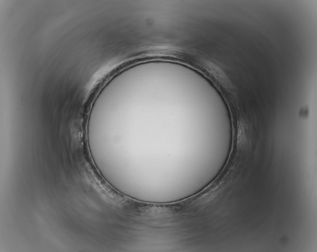 X0000111651164200907311309