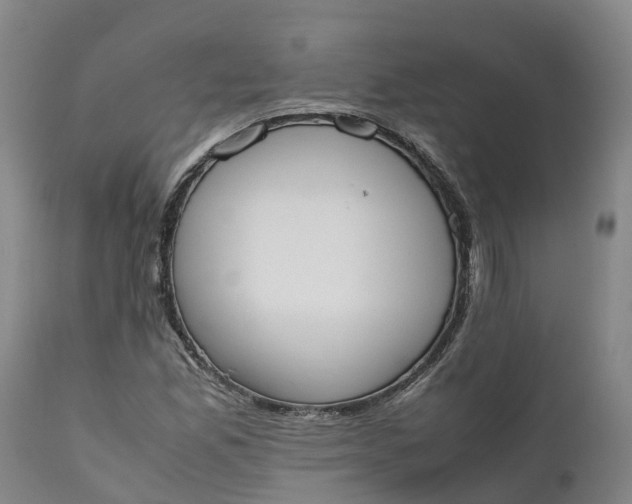 X0000111651165200907311309
