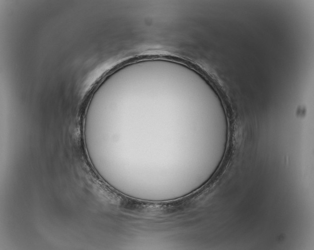 X0000111651167200907311309