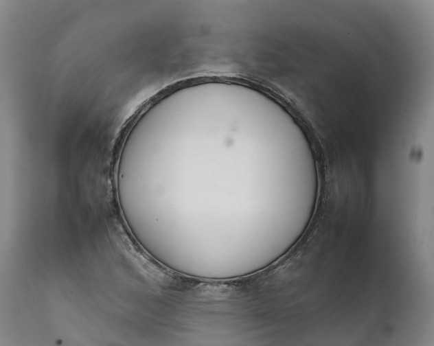 X0000111651168200907311309