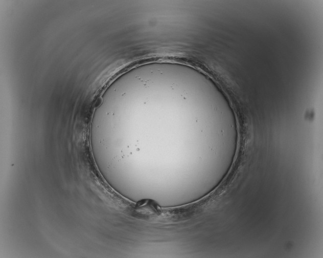 X0000111651169200907311309