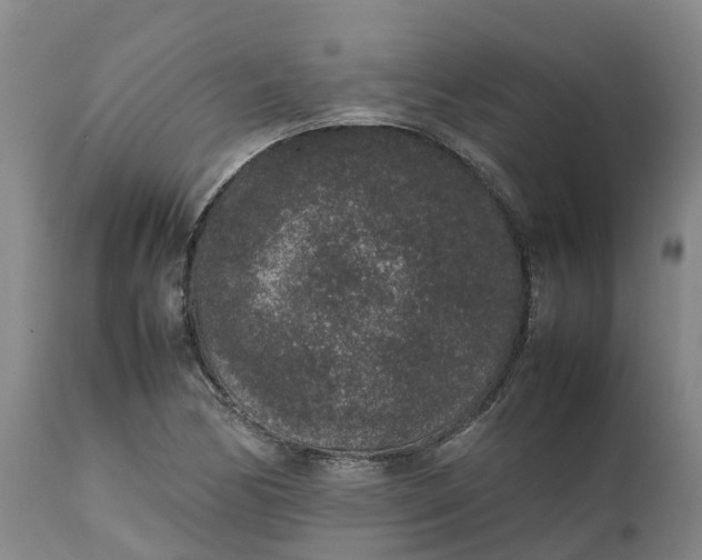 X0000111651170200907311309