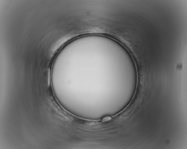 X0000111651171200907311309