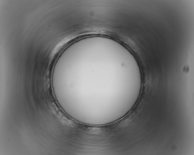 X0000111651172200907311309