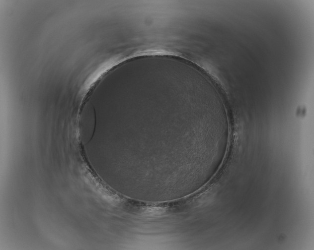X0000111651173200907311309