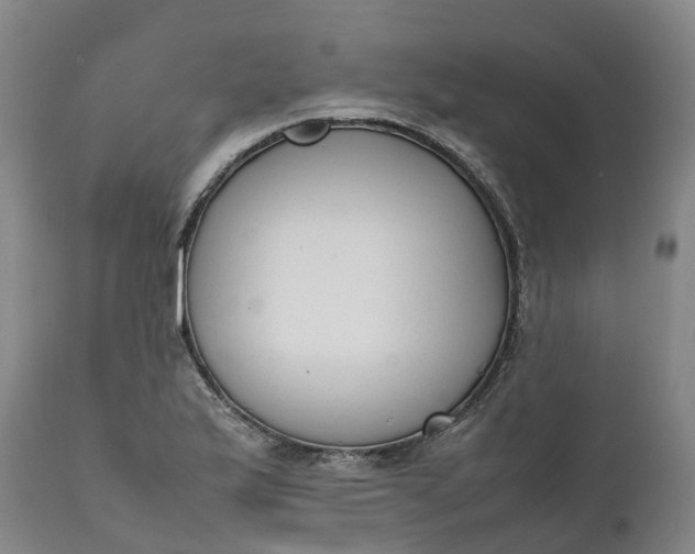X0000111651175200907311309